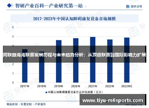 阿联酋海湾联赛发展历程与未来趋势分析：从顶级联赛到国际影响力扩展