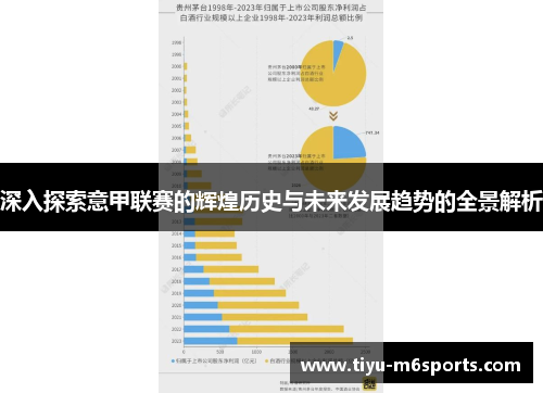 深入探索意甲联赛的辉煌历史与未来发展趋势的全景解析