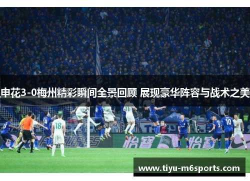 申花3-0梅州精彩瞬间全景回顾 展现豪华阵容与战术之美