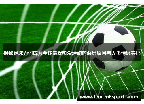 揭秘足球为何成为全球最受热爱运动的深层原因与人类情感共鸣